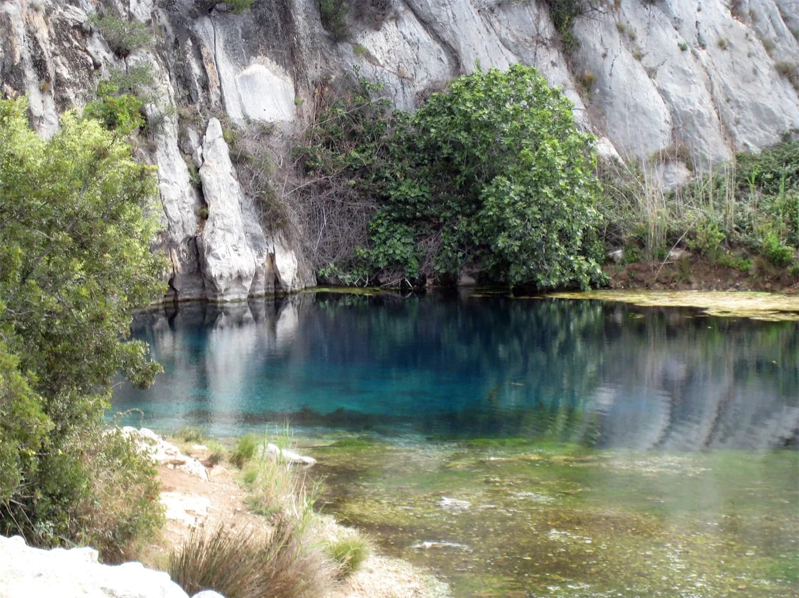 Les eaux turquoise de la résurgence de Font Estramar au pied d'une falaise calcaire
